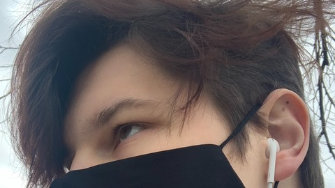 Header of acorexlege