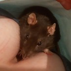 actuallyalex (Actually Alex) free OnlyFans Leaks 

 profile picture