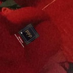 Download agusthinaalvarez OnlyFans leaks for free 

 profile picture