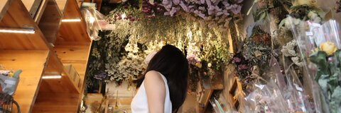 Header of alice_anananan