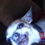 allyoop (Allyoop) free OnlyFans Leaked Pictures and Videos 

 profile picture