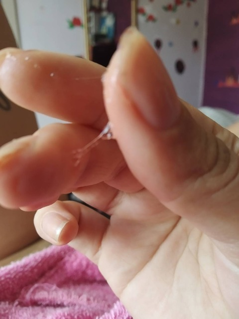 Header of andemondolly