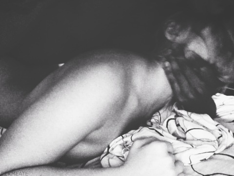 Header of andy_toutouni