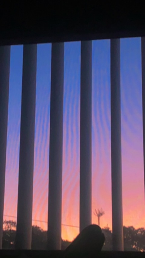 Header of angellosos