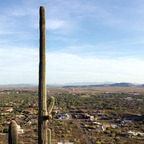 angelodelo OnlyFans Leaks 

 profile picture