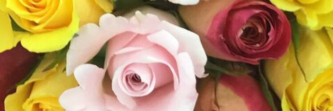 Header of angeltownsend45