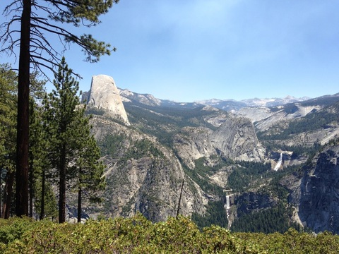 Header of anthonymcmahon