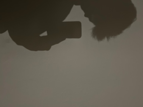 Header of antisocialxo