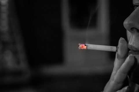 Header of arabellaishere