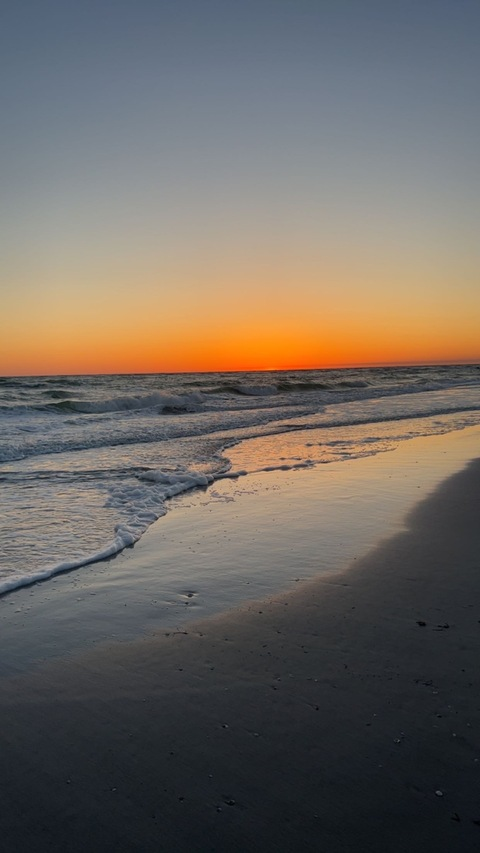 Header of arianna_juhl