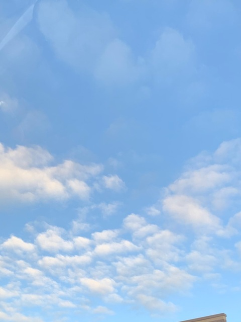 Header of arijane1111