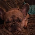 ash_985 OnlyFans Leaked Photos and Videos 

 profile picture