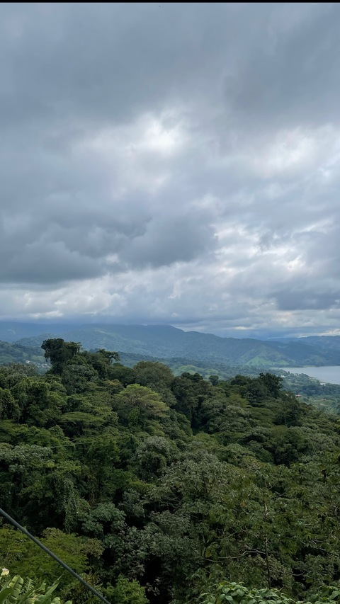 Header of ashleyy.brook