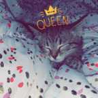 Ashleigh ashmc23 Leaks OnlyFans 

 profile picture