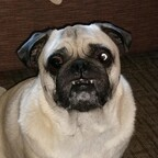 Onlyfans leak astro 

 profile picture