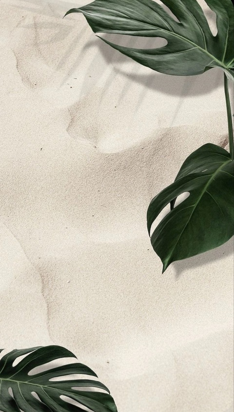 Header of athenaluvxxx3