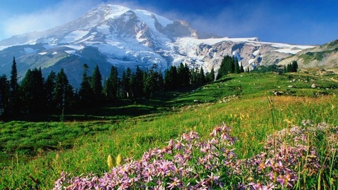 Header of auntienuncle