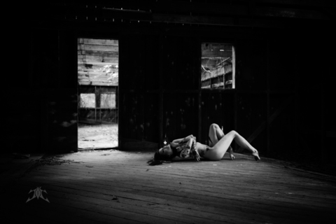 Header of autumndies