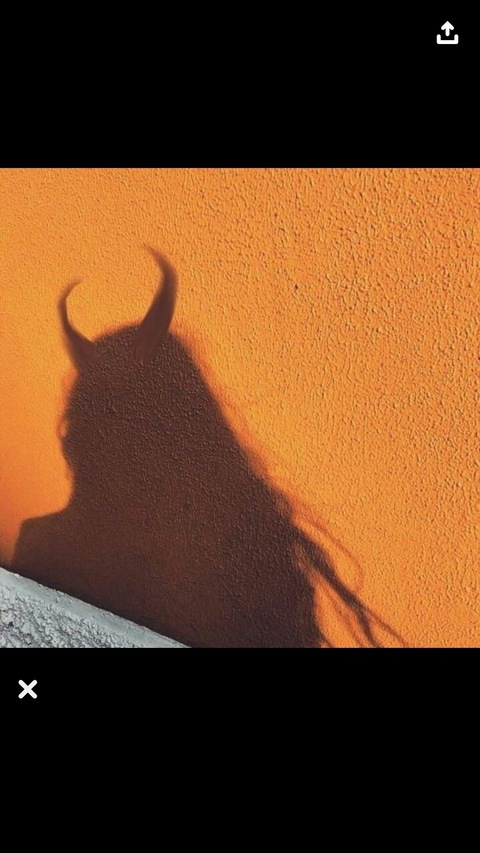 Header of avassummer