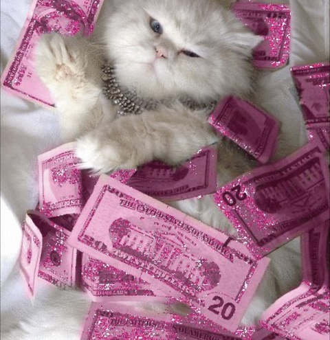 Header of ayleenbella