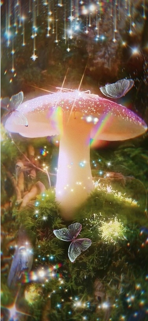 Header of babiebeann