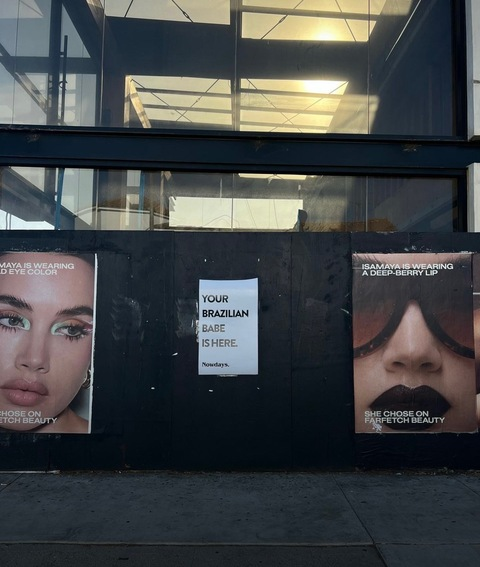 Header of babybraziliantrans