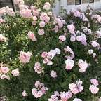 babybugg OnlyFans Leaked Photos and Videos 

 profile picture