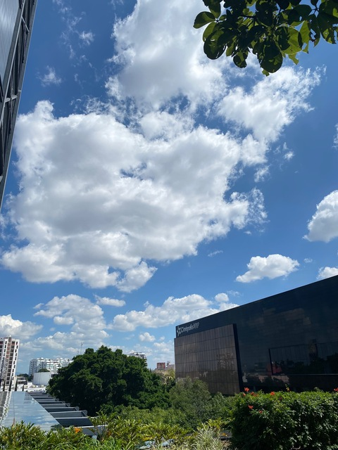 Header of babydimgzz