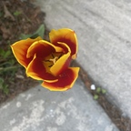 Onlyfans leaked babydoll360 

 profile picture