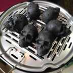 Free access to (@backes) Leaked OnlyFans 

 profile picture