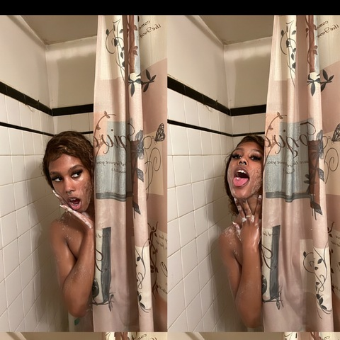 Header of backwards.dink