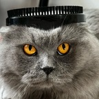 Download bagelhermesbakaku OnlyFans content for free 

 profile picture