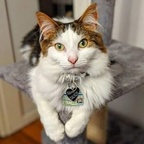 Onlyfans leaked balrogmeowgoth 

 profile picture