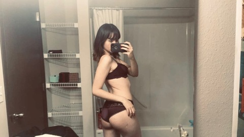 Header of bambidollars