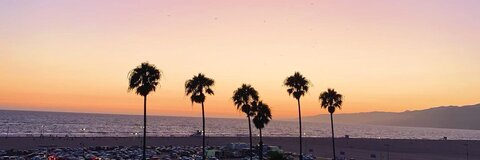 Header of bambiseyes