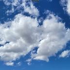 bblive1969 OnlyFans Leak 

 profile picture