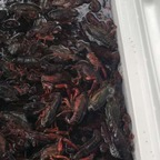 Free access to @bbobbyle20 Leaked OnlyFans 

 profile picture