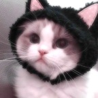 bbypowdr OnlyFans Leaks 

 profile picture