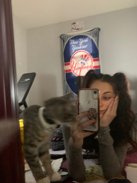 Header of beckabearx