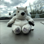 bedresonator (Yessir) free OnlyFans Leaked Videos and Pictures 

 profile picture