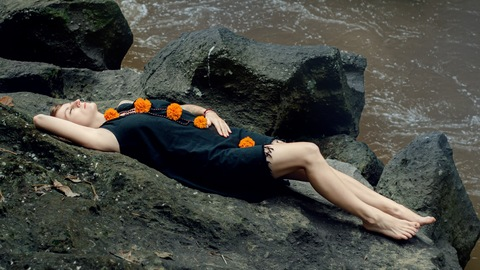 Header of bevikulika