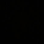 Download big_black_dic OnlyFans videos and photos for free 

 profile picture