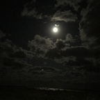 bigdick4dayz24 OnlyFans Leaks 

 profile picture