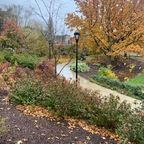 bigd*cktanrg (@bigdicktrnrg) Leaks OnlyFans 

 profile picture