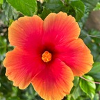 billiondollabekz (Bek) free OnlyFans Leaks 

 profile picture