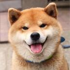 Onlyfans leaks bkkstudio 

 profile picture