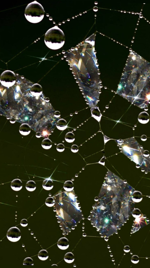 Header of black_wid0ww