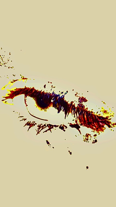 Header of bloodprincette