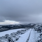 Free access to (@blossomivy) Leaked OnlyFans 

 profile picture