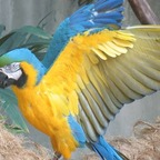 Onlyfans leaked bobliterator 

 profile picture